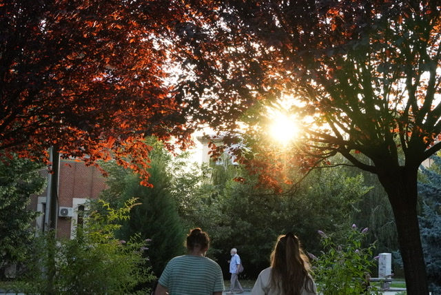 Simple Gospel in Romania